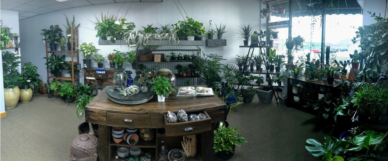 About Florist Northfield, MN Florist